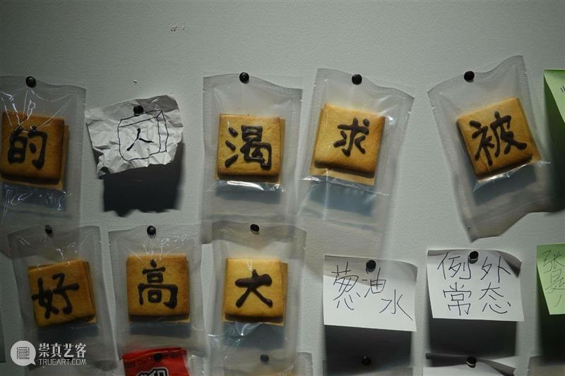 展览现场回顾与文本|「...............」 博文精选 液态 崇真艺客